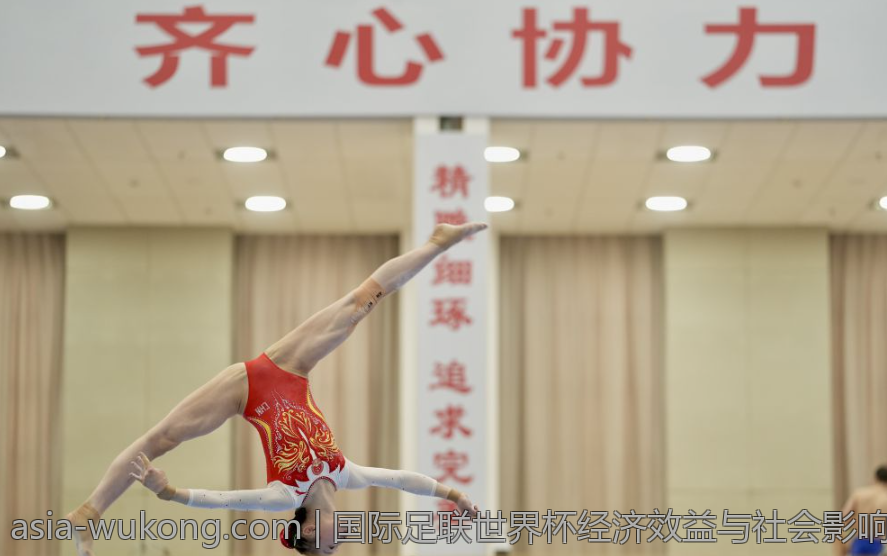 国际足联世界杯经济效益与社会影响